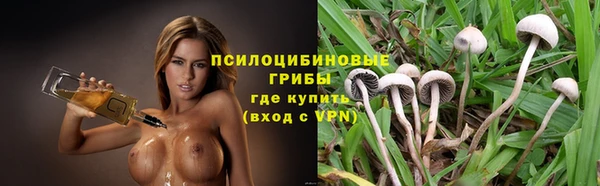 гидра Богданович