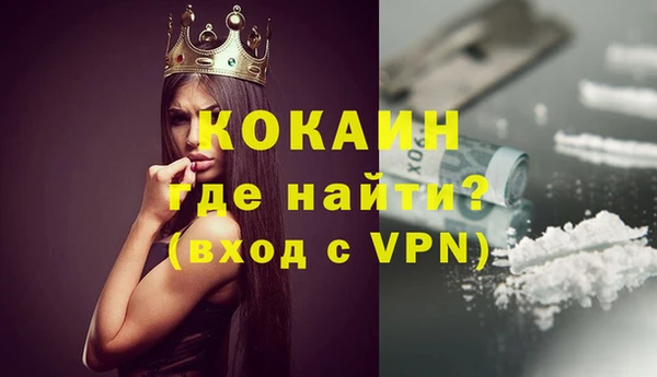 гидра Богданович