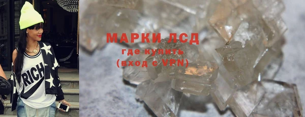гидра Богданович