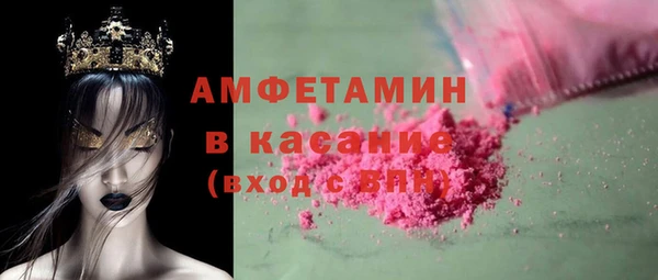гидра Богданович