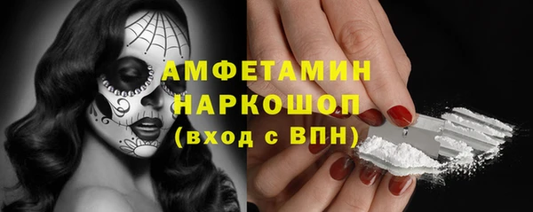 гидра Богданович