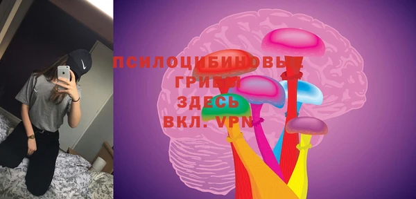 гидра Богданович