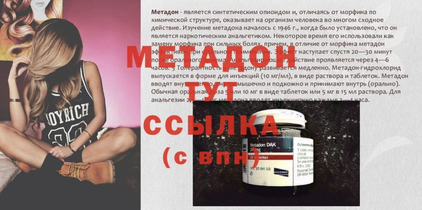 гидра Богданович