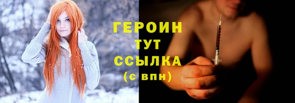 гидра Богданович