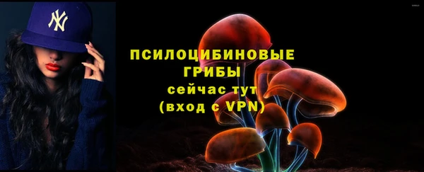 а пвп мука Богородицк
