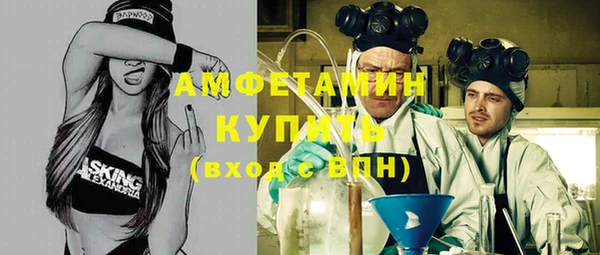 гидра Богданович