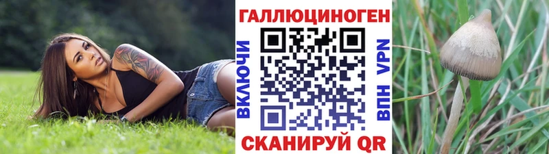 Псилоцибиновые грибы прущие грибы  Купить где  Мегион 