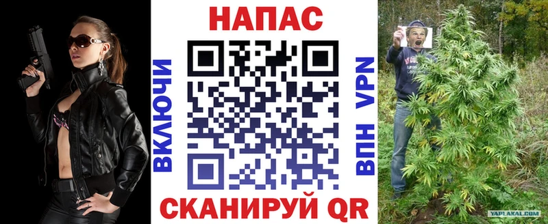 Купить где  Мегион  Бошки Шишки ГИДРОПОН 